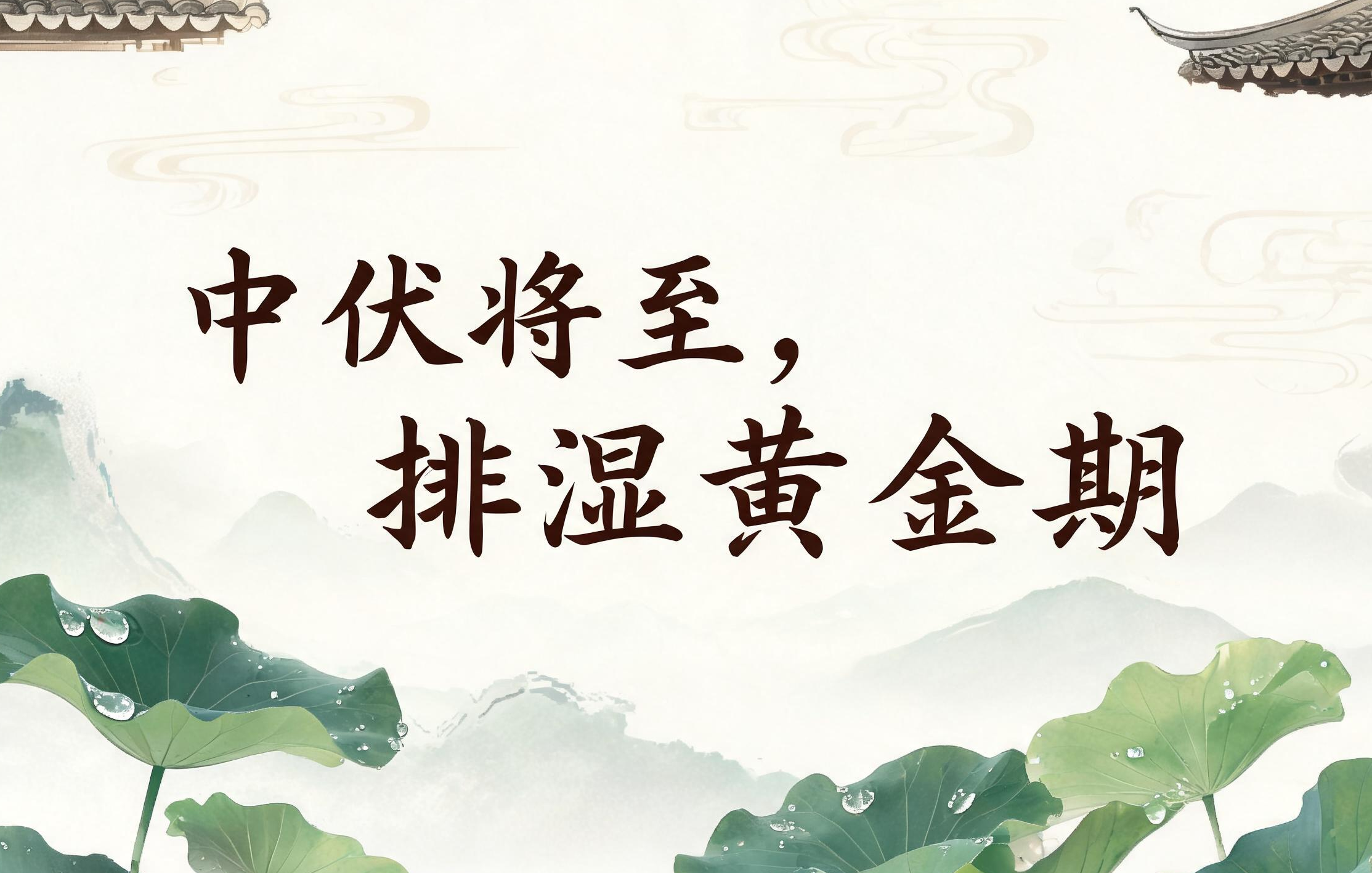 中伏将至，排湿黄金期要到啦，中医3招帮你排出攒了多年的湿气！