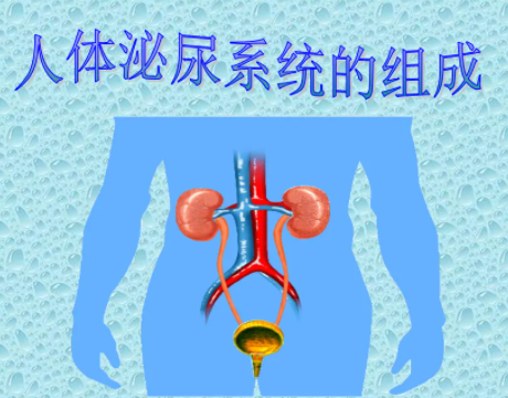 急性泌尿系统感染的症状有哪些？