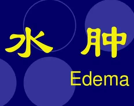 水肿中医辨证论治？
