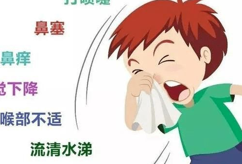春季过敏性鼻炎高发应如何预防