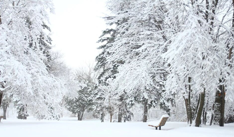 大雪到，大家要注意4个养生和8个禁忌！