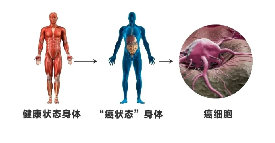 身体出现这6个信号？别硬扛！1分钟癌状态自测，早发现早安心