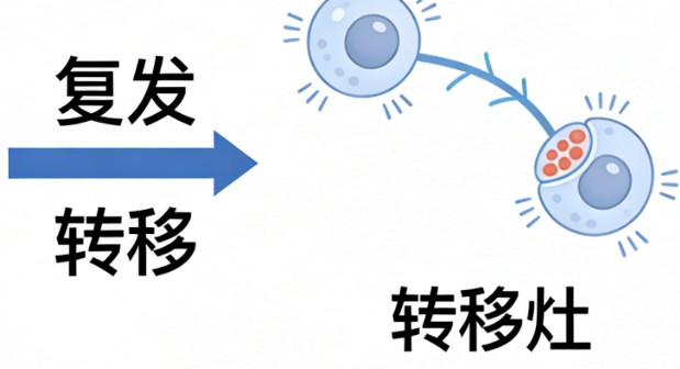 为什么有些癌症患者术后1年后就复发？因为体内的&ldquo;余毒未清&rdquo;！