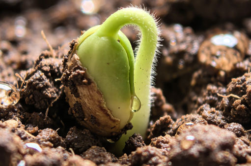 癌症复发怎么办？做好3件事情，争取获得更多存可能！