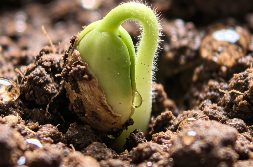 癌症复发怎么办？做好3件事情，争取获得更多存可能！
