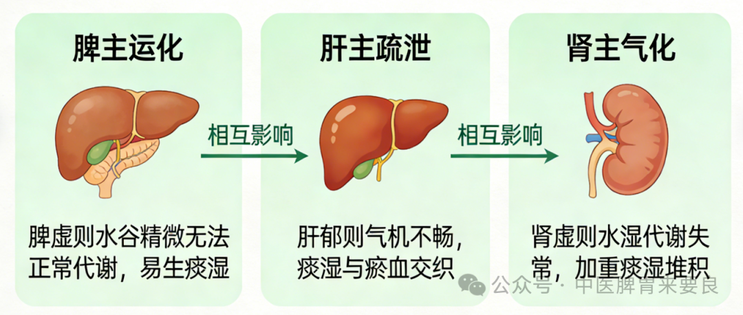 来要水主任：晨起后这4个表现，提示你血脂可能超标了！